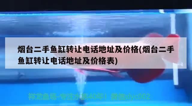 紅龍魚(yú)出售或轉(zhuǎn)讓信息：關(guān)于紅龍魚(yú)出售或轉(zhuǎn)讓的信息 紅龍魚(yú)百科 第3張