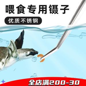 龍魚用手喂還是鑷子：龍魚手喂訓(xùn)練技巧 龍魚百科 第5張