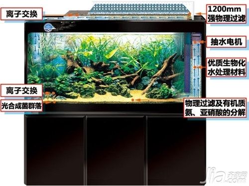 水族箱過濾器品牌歷史對(duì)比：水族箱過濾器品牌歷史和排名