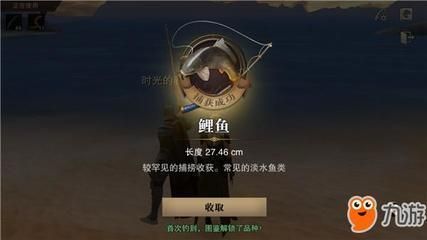 龍魚高端配魚有哪些方法：龍魚混養(yǎng)風水講究,龍魚配魚疾病預防 龍魚百科 第2張