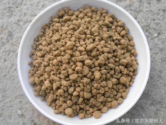 金龍魚怎么樣配魚風水好一點：金龍魚在家中的擺放位置有何講究？ 水族問答 第1張