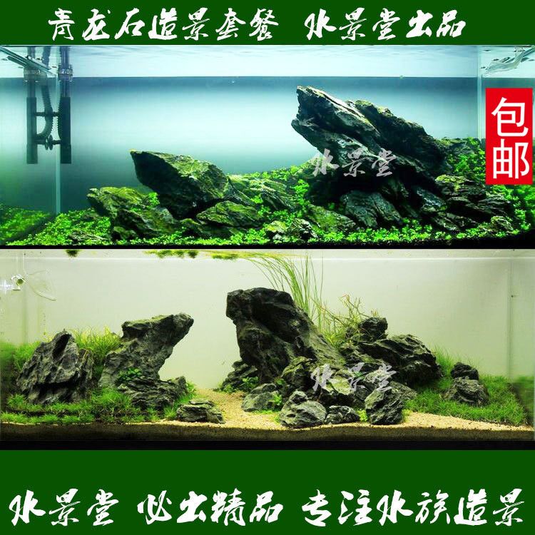 龍魚缸養(yǎng)什么水草好：適合在龍魚缸中養(yǎng)殖的幾種水草 龍魚百科 第4張