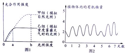 龍魚用燈照多久會有效果呢：如何模擬自然光照周期養(yǎng)龍魚 龍魚百科 第5張