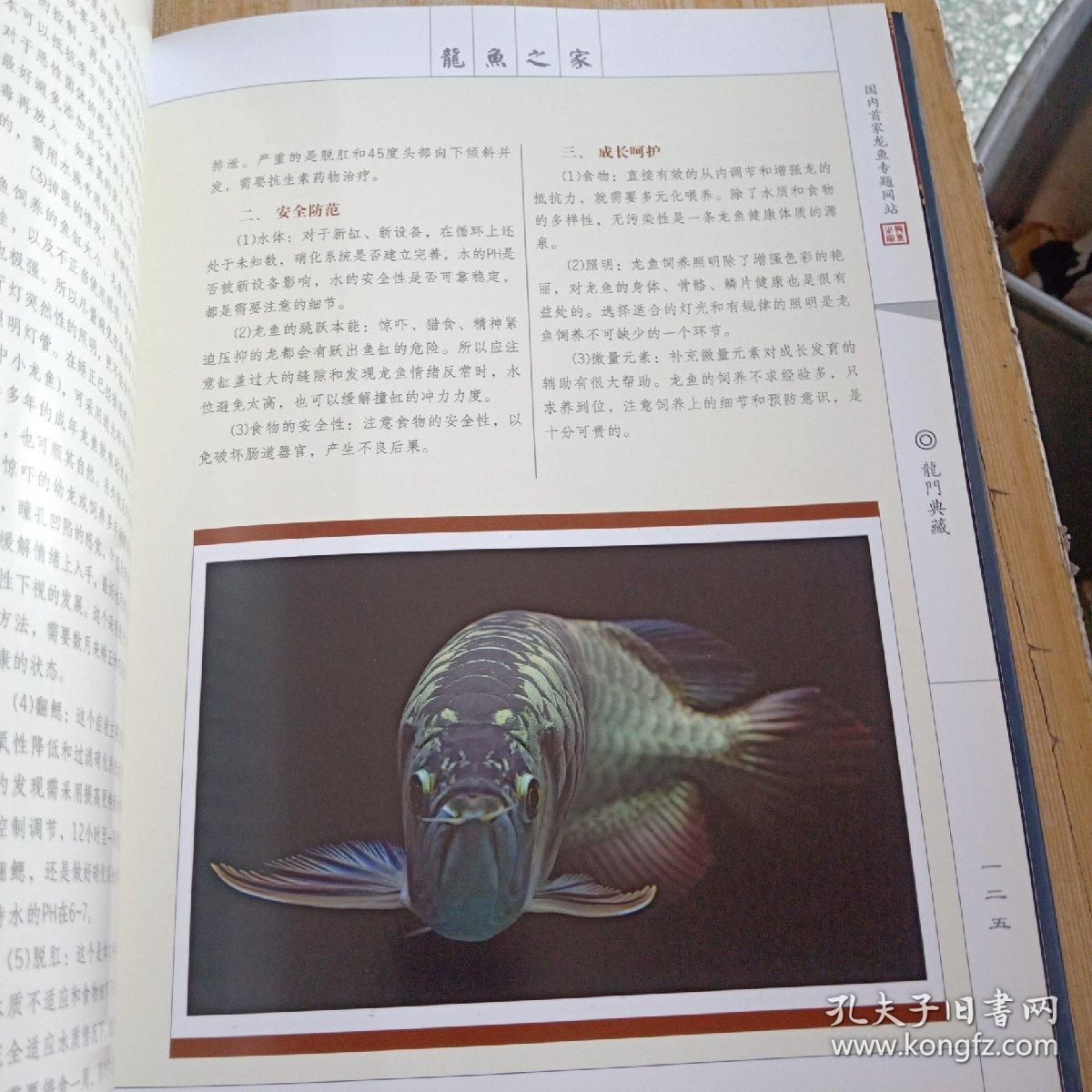 龍魚(yú)身體有點(diǎn)傾斜正常嗎：龍魚(yú)身體傾斜怎么辦 龍魚(yú)百科 第5張