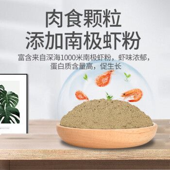 觀賞魚專用魚糧推薦：觀賞魚專用魚糧品牌對比推薦觀賞魚專用魚糧品牌對比 龍魚百科 第4張