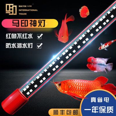 龍魚燈潛水好還是放頂處好：如何選擇適合龍魚的燈具，龍魚燈光布置的最佳實踐 龍魚百科 第2張