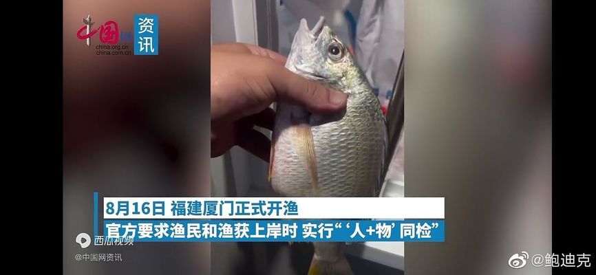 龍魚張嘴呼吸鰓蓋張開：龍魚張嘴呼吸是怎么回事？ 龍魚百科 第4張