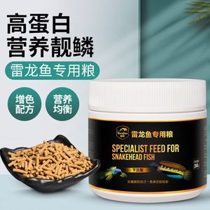 如何通過飲食改善雷龍魚體色：雷龍魚專用飼料品牌推薦，雷龍魚飲食控制技巧，雷龍魚食物安全性檢測方法 龍魚百科 第3張