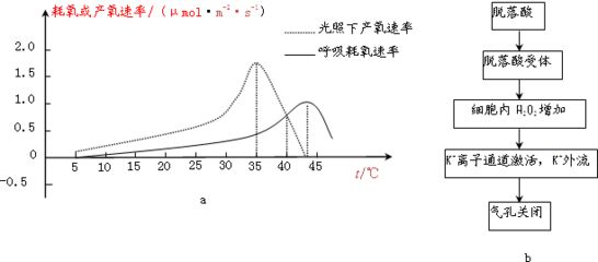 紅龍魚光照強(qiáng)度對(duì)健康影響：如何選擇適合紅龍魚的燈具，紅龍魚光照與色彩關(guān)系 龍魚百科 第4張