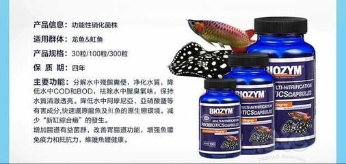 龍魚用藥注意事項(xiàng)圖片：龍魚用藥后水質(zhì)管理步驟詳解龍魚用藥后水質(zhì)管理 龍魚百科 第1張