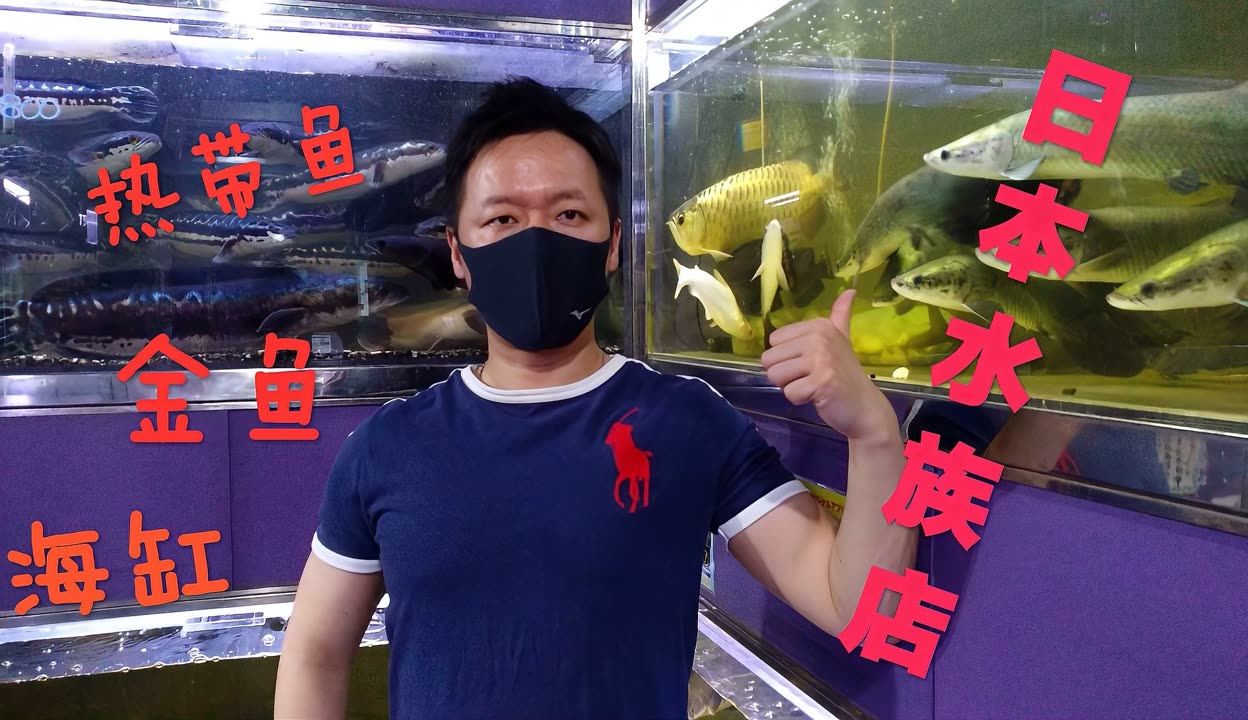 龍魚麻醉劑哪里買：龍魚麻醉劑品牌推薦,淘寶購買麻醉劑注意事項