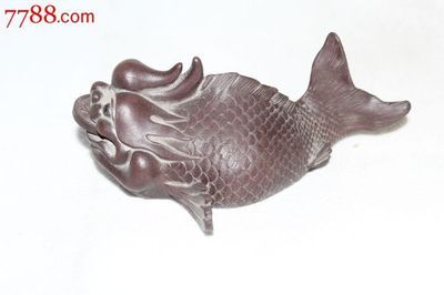 龍魚(yú)價(jià)錢(qián)：龍魚(yú)價(jià)格受多種因素影響龍魚(yú)的價(jià)格受到多種因素影響 龍魚(yú)百科 第1張