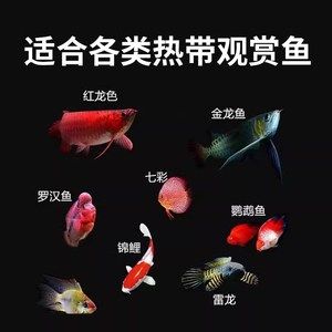 龍魚增艷燈和發(fā)色燈：龍魚增艷燈與發(fā)色燈的選購技巧