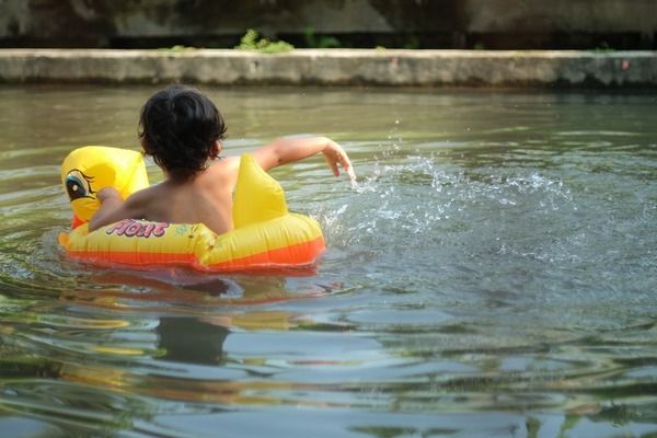 幼魚階段黃金貓魚飼料選擇：黃金貓魚幼魚飼料品牌推薦 龍魚百科 第5張