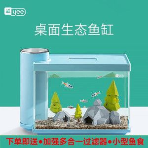 龍魚(yú)如何飼養(yǎng)和喂養(yǎng)小魚(yú)：如何有效飼養(yǎng)和喂養(yǎng)龍魚(yú) 龍魚(yú)百科 第5張