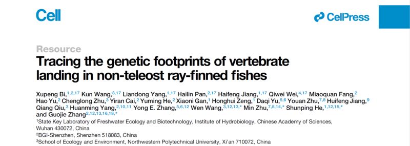 金龍魚最低水溫多少度：金龍魚的最低水溫是多少？ 水族問答 第1張