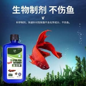 龍魚能用殺菌水嗎：如何自制龍魚殺菌水