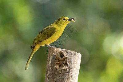 龍魚水中燈應(yīng)該放在什么位置：龍魚水下燈選擇技巧 龍魚百科 第2張