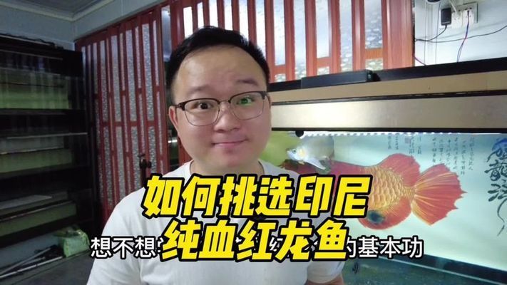 金龍魚最小多大缸比較好：如何根據(jù)金龍魚的大小選擇魚缸？ 水族問答 第1張