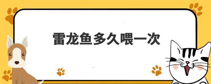 雷龍魚怎么喂長(zhǎng)得快：促進(jìn)雷龍魚快速生長(zhǎng)的喂養(yǎng)方法雷龍魚快速生長(zhǎng)的喂養(yǎng)方法 龍魚百科 第5張