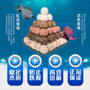 龍魚放什么過(guò)濾材料：龍魚放什么過(guò)濾材料打造適宜龍魚生活環(huán)境的過(guò)濾系統(tǒng)