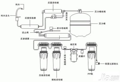 橘黃色的龍魚好不好：關(guān)于橘黃色的龍魚的問題 水族問答 第1張