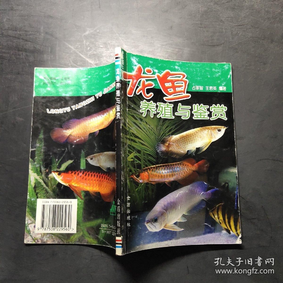 龍魚養(yǎng)殖技術(shù)教材：龍魚養(yǎng)殖技術(shù)教程 龍魚百科 第4張