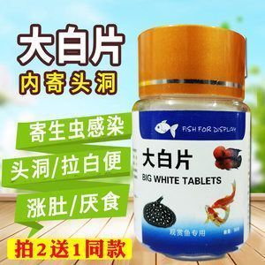 龍魚用藥和普通魚用藥區(qū)別在哪：龍魚用藥與普通魚用藥的區(qū)別 龍魚百科 第1張