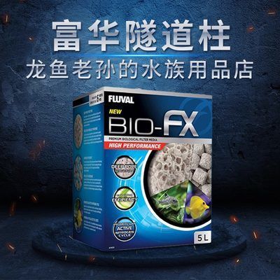 龍魚老孫的水族用品店淘寶店鋪：北京龍魚老孫的水族用品 龍魚百科 第2張