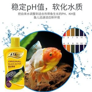 黑水素對(duì)紅龍魚的作用和功效：黑水素對(duì)于紅龍魚的作用和功效