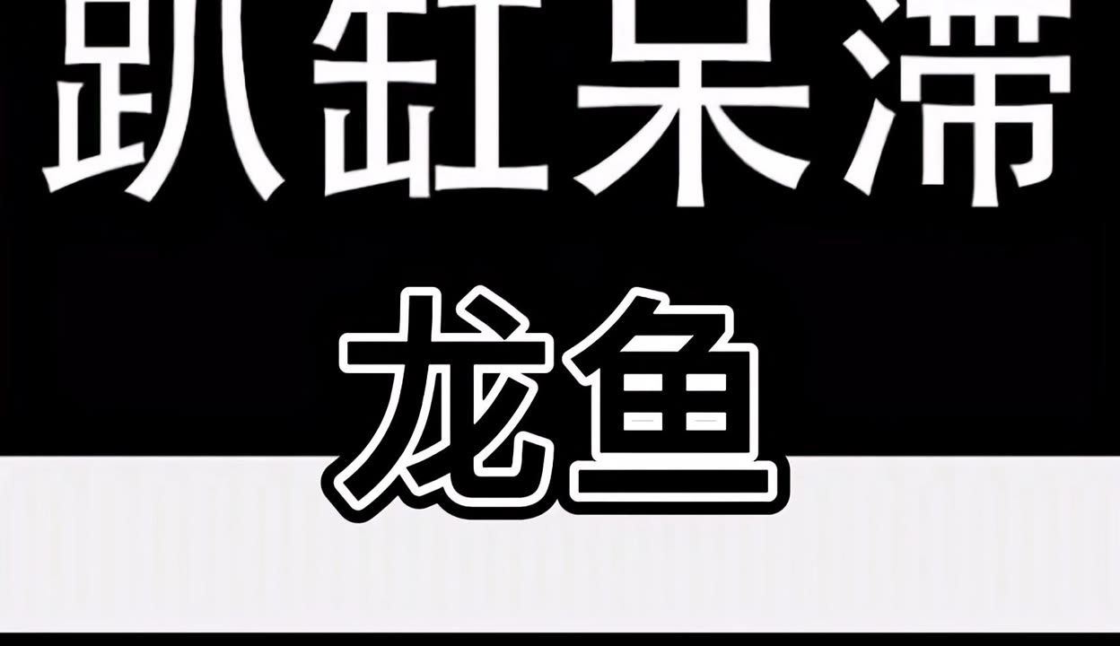 龍魚趴缸人一過去就游起來：龍魚趴缸是一種常見的熱帶魚類，以其優(yōu)雅的姿態(tài)而受到人們喜愛 龍魚百科 第3張