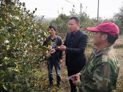 龍魚疾病圖解視頻講解大全下載：龍魚常見疾病圖片大全 龍魚百科 第4張