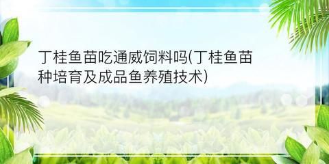 魚苗飼料品牌推薦對比：五家知名魚苗飼料品牌對比，魚苗飼料價格對比分析 龍魚百科 第1張