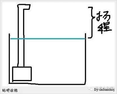 龍魚缸水泵流量多少合適：龍魚缸水泵流量如何選擇 龍魚百科 第2張