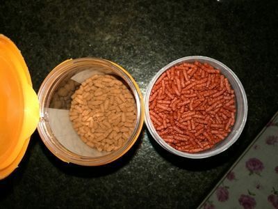 如何自制龍魚飼料視頻：如何自制龍魚飼料 龍魚百科 第2張