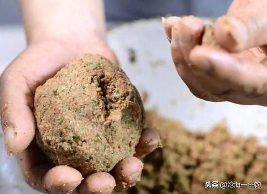 龍魚60公分長多久能長大一點：龍魚60公分長需要多長時間才能再長大一點？ 水族問答 第2張