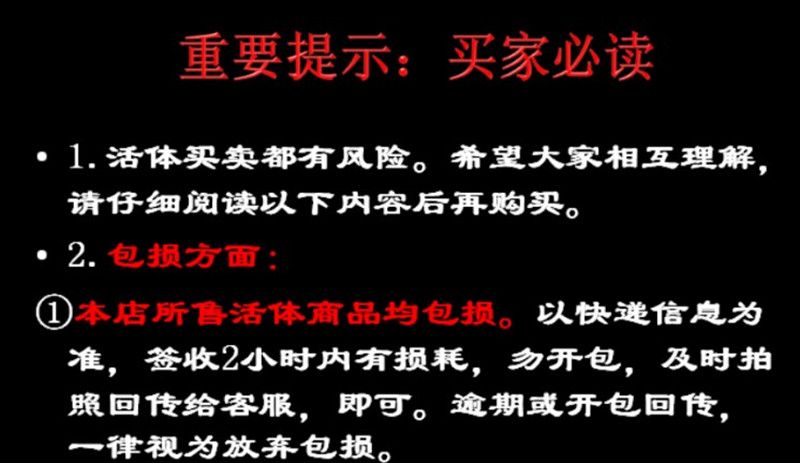 龍魚把吃的蝦吐了看起來都沒消化：龍魚吐出未消化的蝦后的反應(yīng)是什么，龍魚吐出未消化的反應(yīng)是什么 水族問答 第2張