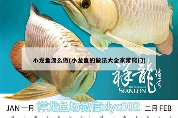 龍魚家常做法竅門：龍魚的家常做法竅門 龍魚百科 第2張