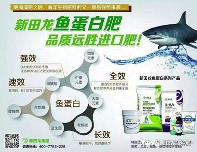 龍魚全效劑：龍魚全效劑使用注意事項 龍魚百科 第3張