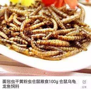 龍魚和烏魚哪個好吃些：烏魚和龍魚各有特色，選擇哪種更好吃取決于個人口味和偏好 龍魚百科 第1張