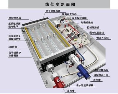 龍魚被咬死：龍魚被咬死會發(fā)生什么變化？ 水族問答 第2張