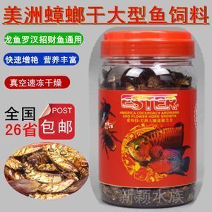 雪龍魚飼料中蛋白質(zhì)來源：雪龍魚飼料中的蛋白質(zhì)來源 龍魚百科 第5張