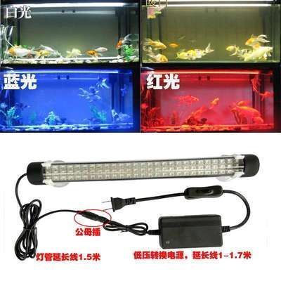 龍魚能用led燈嗎：龍魚led燈選型指南,led燈對龍魚生長影響,如何模擬自然光照養(yǎng)龍魚