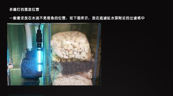 龍魚缸殺菌燈使用方法：殺菌燈波長,化學(xué)作用方面,龍魚缸殺菌燈的最佳擺放位置