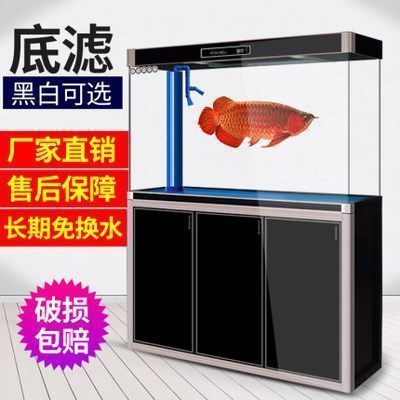 龍魚的缸里用不用打氧vs祥龍魚場：龍魚的缸內(nèi)是否需要打氧