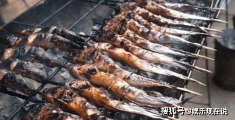 銀板魚性成熟期食譜調(diào)整方法：銀板魚在性成熟期的食譜調(diào)整需考慮到它們的生活習(xí)性和特殊需求 龍魚百科 第1張