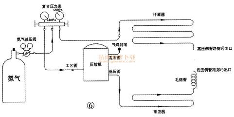 龍魚不吃什么原因引起的魚死亡：龍魚不吃東西怎么辦 水族問答