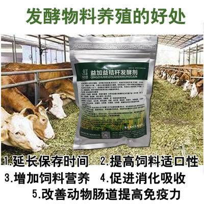 龍魚不吃食嚼嚼吐出來怎么回事兒呀：為什么龍魚突然不吃食了？ 水族問答