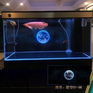 龍魚缸背景用什么顏色好vs祥龍魚場(chǎng)：如何根據(jù)龍魚品種選擇背景顏色 vs祥龍魚場(chǎng) 第3張