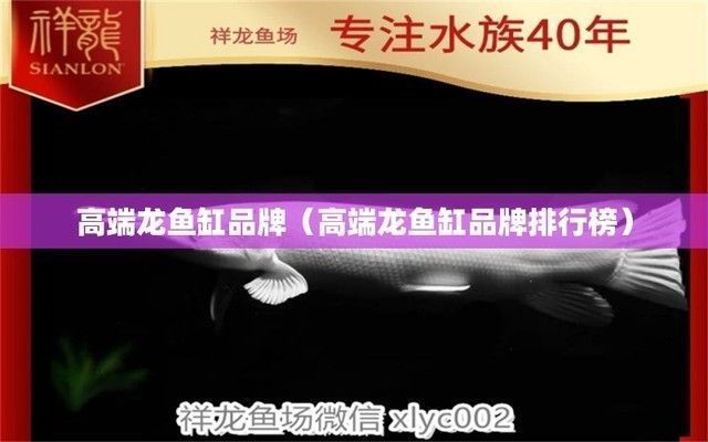 龍魚缸品牌推薦vs祥龍魚場(chǎng)：品龍魚缸品牌推薦與祥龍魚場(chǎng)比較分析 vs祥龍魚場(chǎng) 第1張